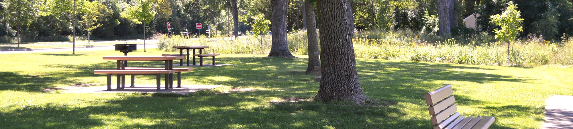 park with benches on a sunny day